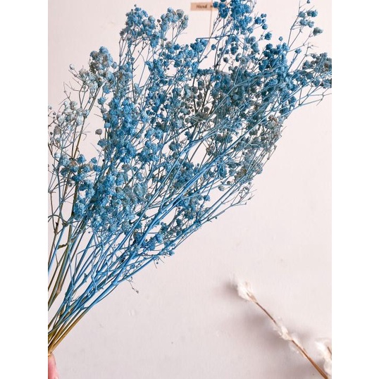 Dried Babybreath in Blue Series/ Bunga babybreath kering biru - Midnight Blue