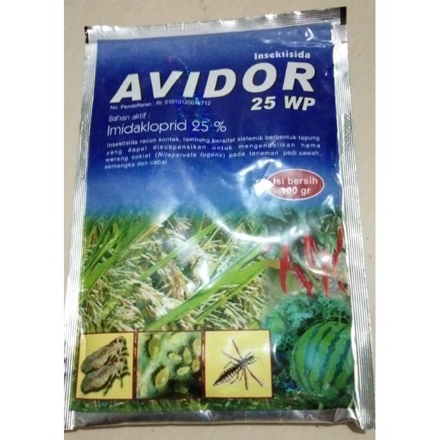 AVIDOR 25WP 100GR