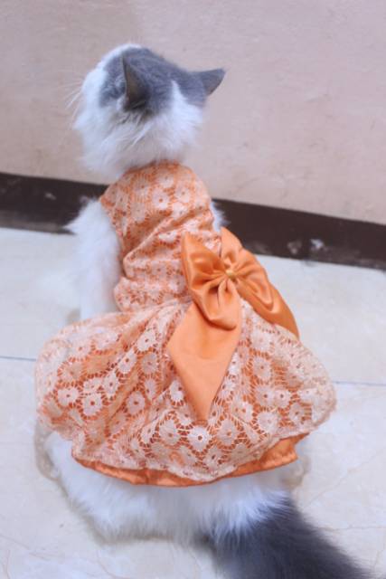 Dress satin renda orange lucu untuk kucing dan anjing / baju anjing kucing murah size S-XL