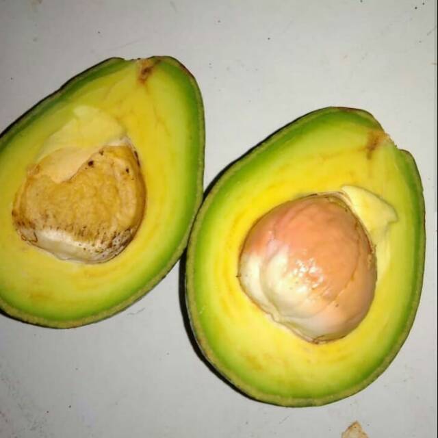 

Alpukat mentega jumbo