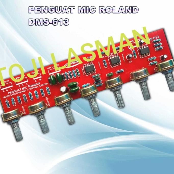 Penguat Mic Roland Rolan Dms 613 Dms613 Platinum Kit Mixer 1 Chanel