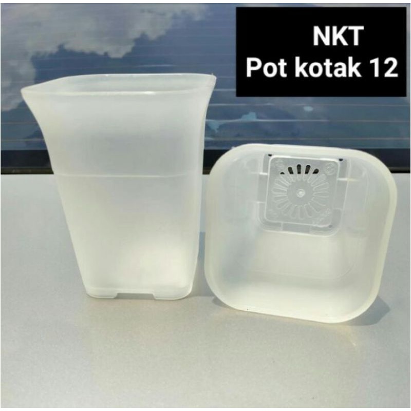 pot bunga | pot kotak 12 cm | pot kotak 12 cm warna bening | POT NKT