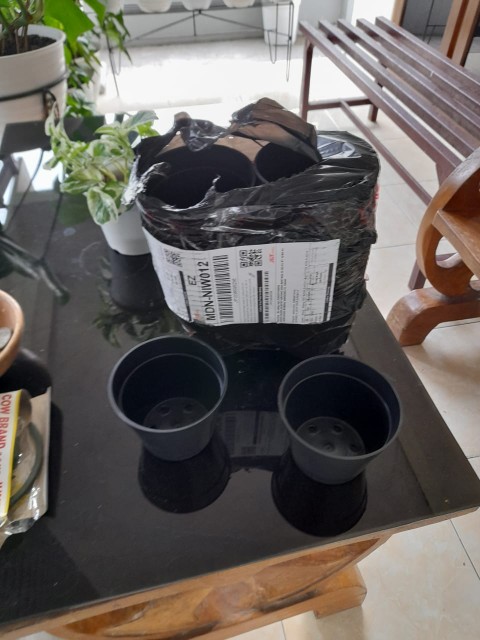 Pot Bunga Plastik 10 Cm Pot Es Krim Plastik Baru Pot Hidroponik