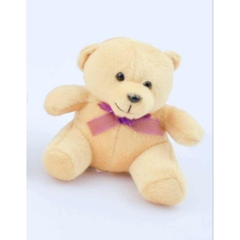 PROMO BONEKA TEDDY BEAR MINI 18 CM / Boneka bucket / boneka wisuda /  Boneka bear mini