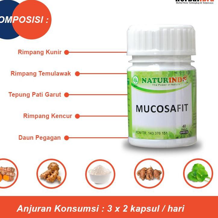 

Discount Today MUCOSAFIT obat herbal asam lambung GERD dan maag kronis dengan gejala mual muntah ser