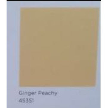 Cat Tembok Dulux Catylac Interior 45351T Ginger Peachy RM Galon 5 Kg