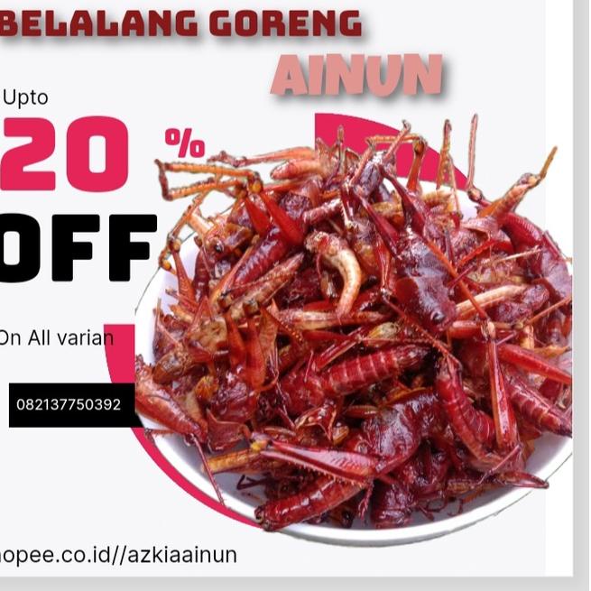 

[KODE V9QTS] [BISA COD] WALANG/BELALANG GORENG BESAR