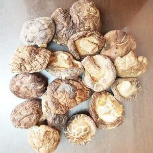 

Cuci Gudang Awal Tahun Jamur Shitake Hioko Xiang Gu Fragrant Mushroom Ukuran Kecil 100g Promo Awal