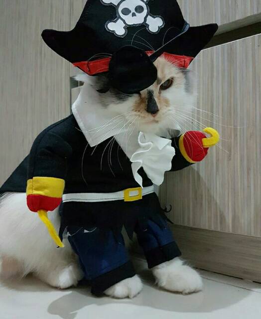 Kostum pirate bajak laut untuk kucing &amp; anjing /Jual Baju Kucing Terlengkap &amp; Berkualitas size S-XL