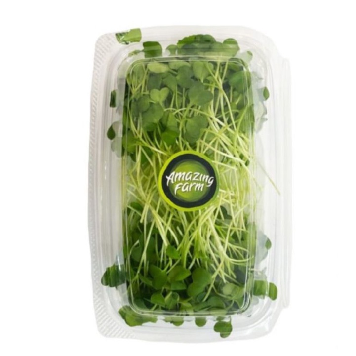 

Microgreen Green Radish Hidroponik - 30gr