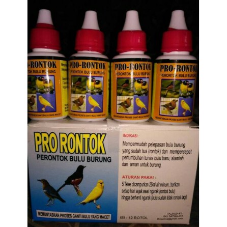 OBAT RONTOK BULU BURUNG ATAU PRO RONTOK