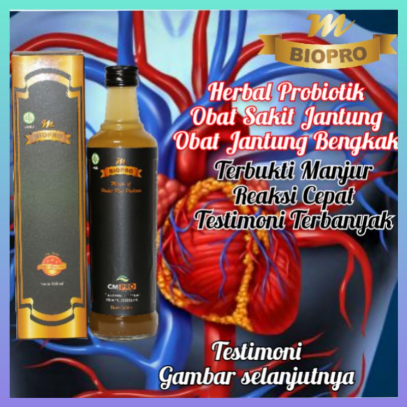 M Biopro Obat Jantung Herbal l Obat Sakit Jantung M Biopro Reaksi Cepat