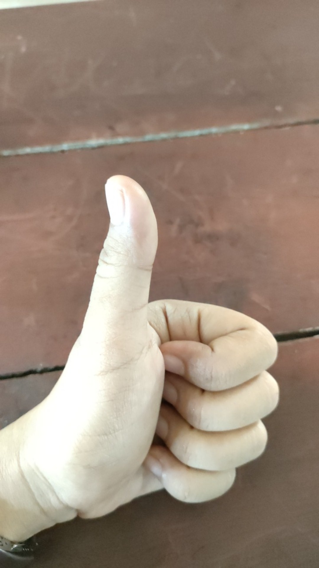 Gembok Leher Panjang Pendek 60mm / Gembok Pagar Rumah / Pengaman Pagar Rumah / Gembok Anti Maling