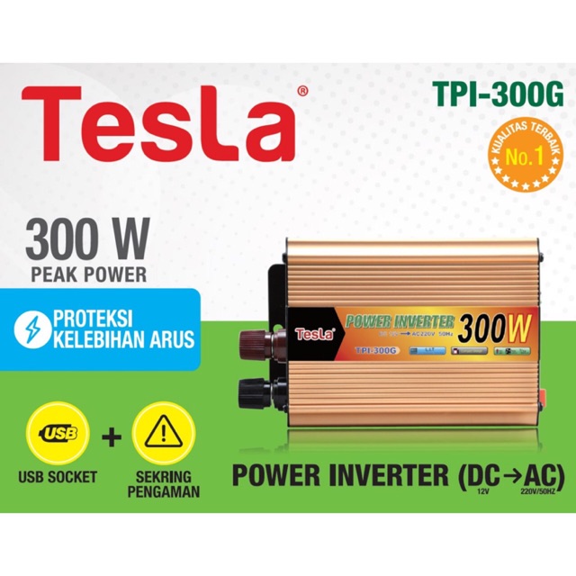 Power Inverter Tesla DC to AC 300 Watt