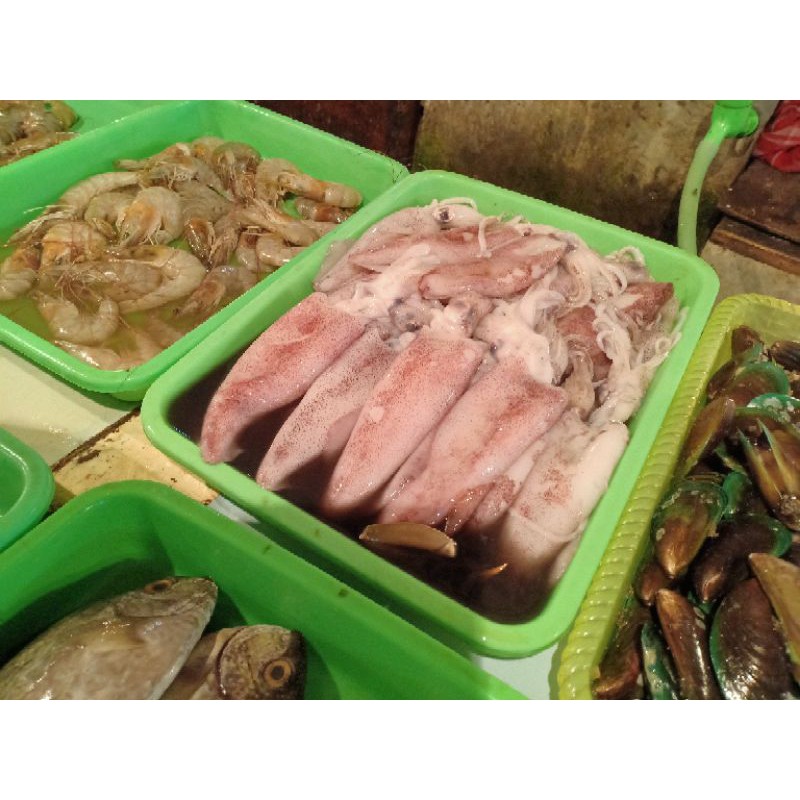 

CUMI SEGAR UKURAN 1KG ISI 8