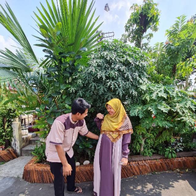 hanifahmohammadirham