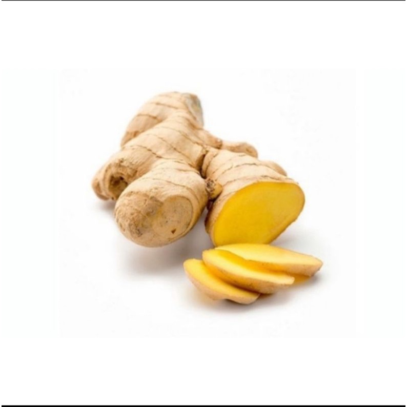 

jahe besar 250 gr