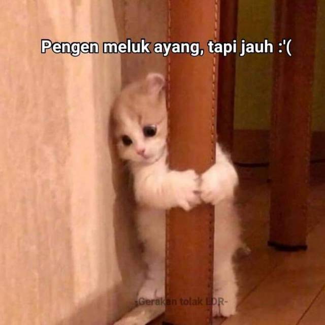 restiiiiiiiiiiiiiiiiii03_perdi