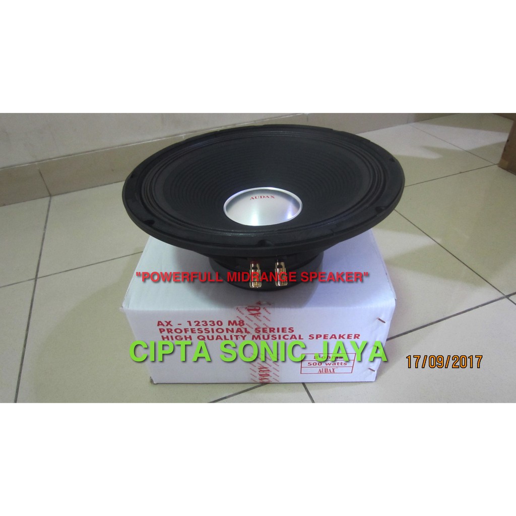 speaker 12 inch audax AX 12330 M full range original