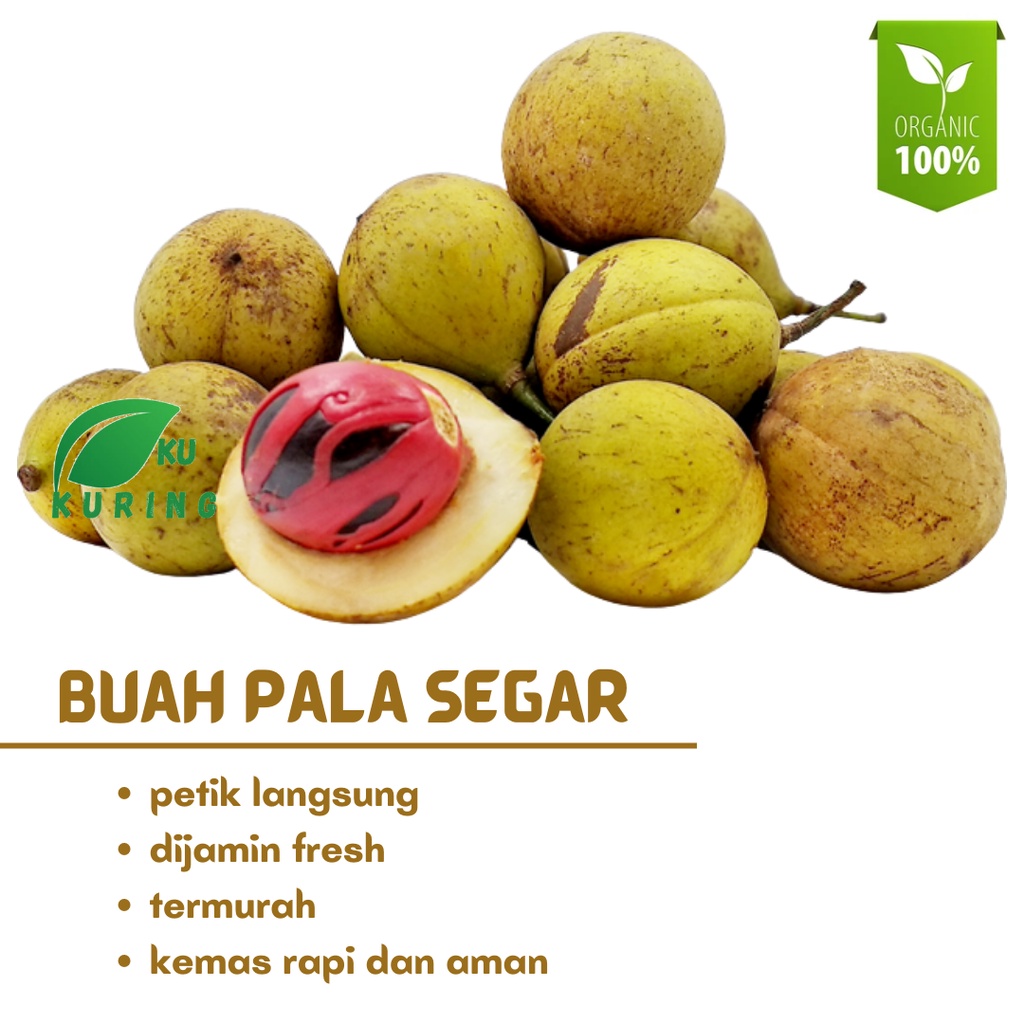 Buah Pala Segar - Petik Langsung Dijamin Fresh