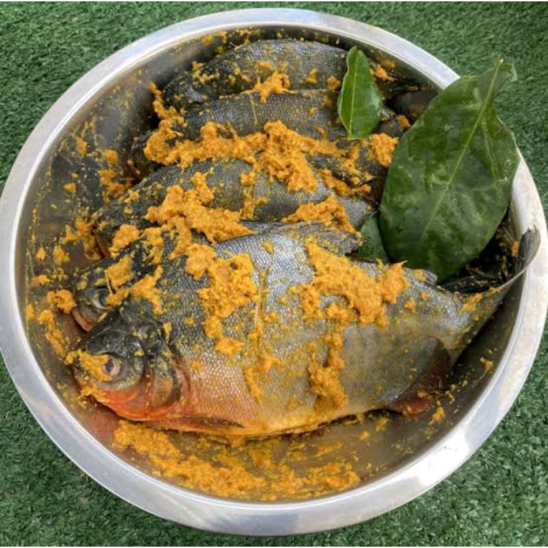 

BAWAL BUMBU KUNING PER EKOR SIAP MASAK