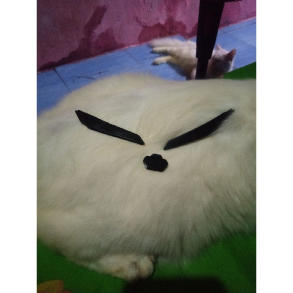 karet vent agv pista