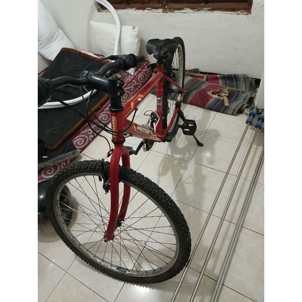 sepeda dewasa bekas