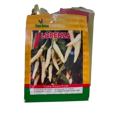 Bibit Cengek Lorenza