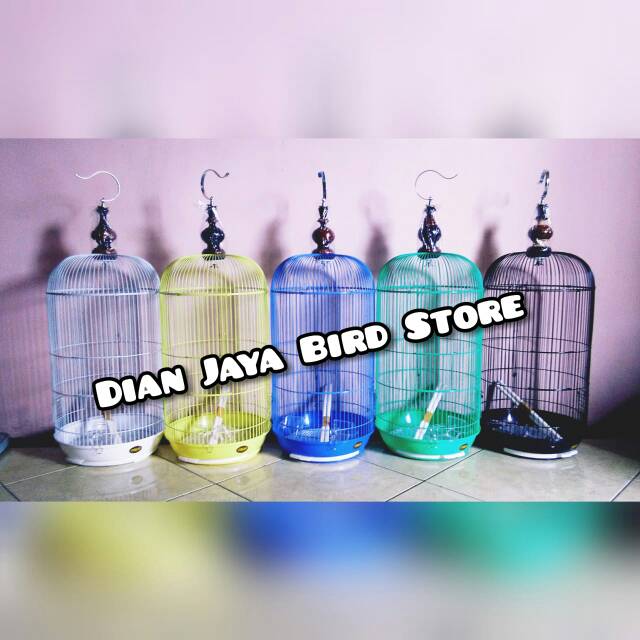 juliana.chlla.priscilladewi3