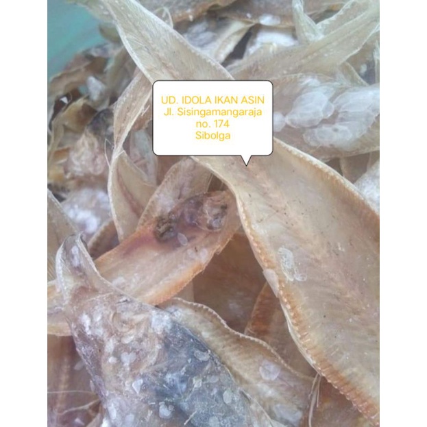 

ikan lidah lidah