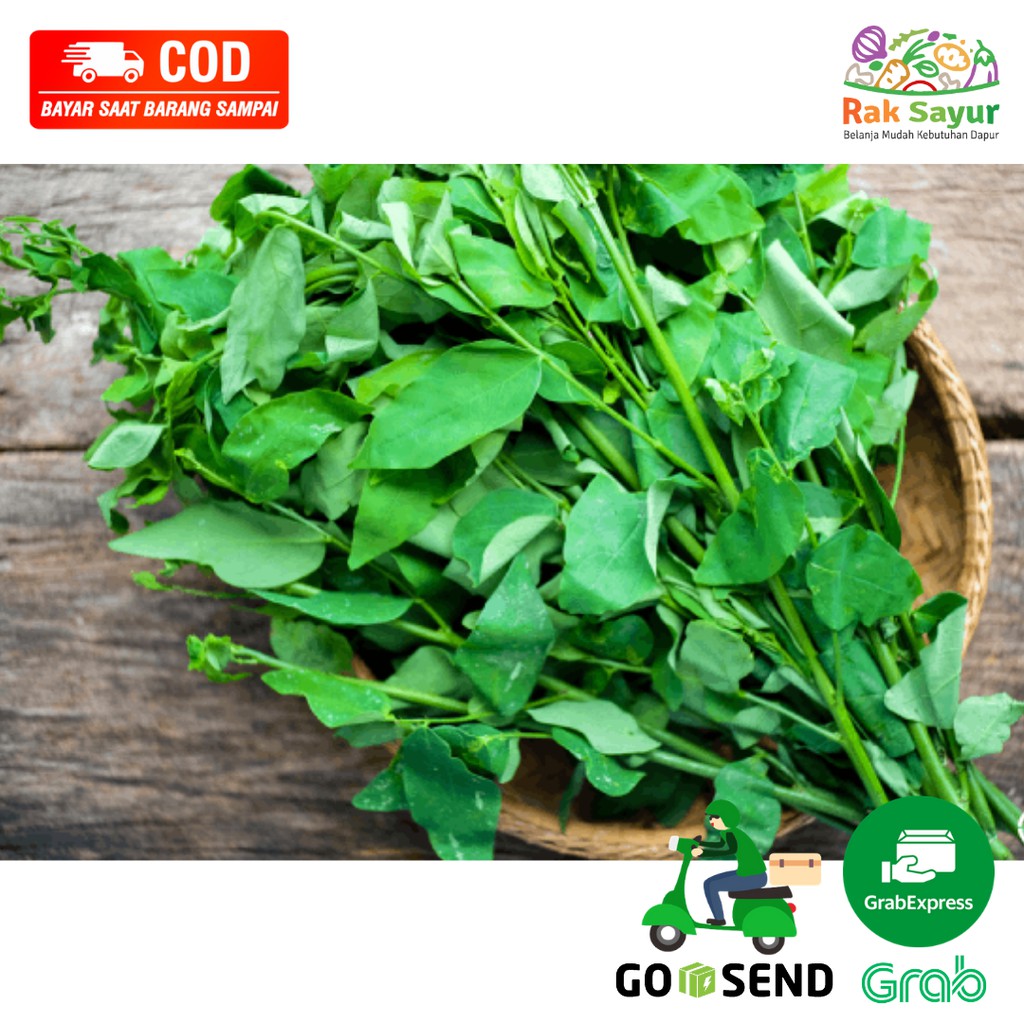 

Sayuran Segar Daun Katuk Per Ikat Sehat Herbal Mata Fresh Rak Sayur Padang