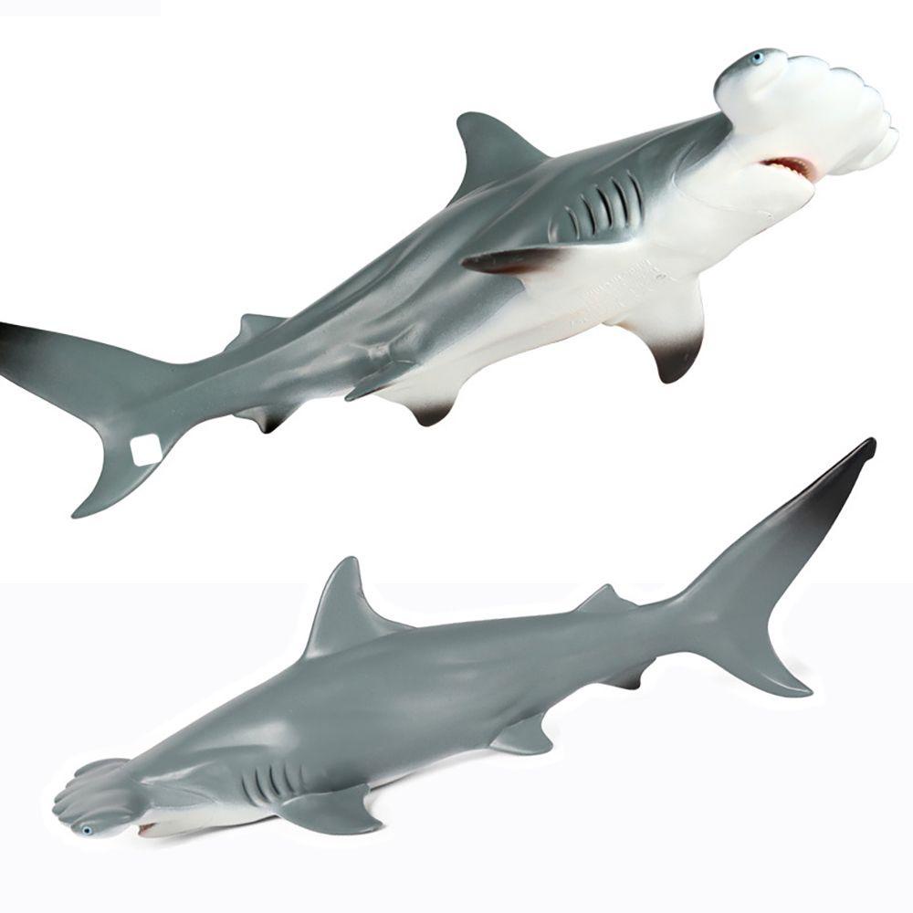 Top Hammerhead Shark Model Nature Kids Cognition Belajar Dini Organisme Laut