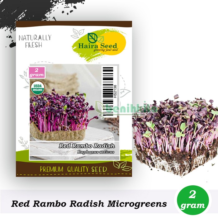 Benih-Bibit Microgreen Red Rambo Radish Organik (Haira Seed)