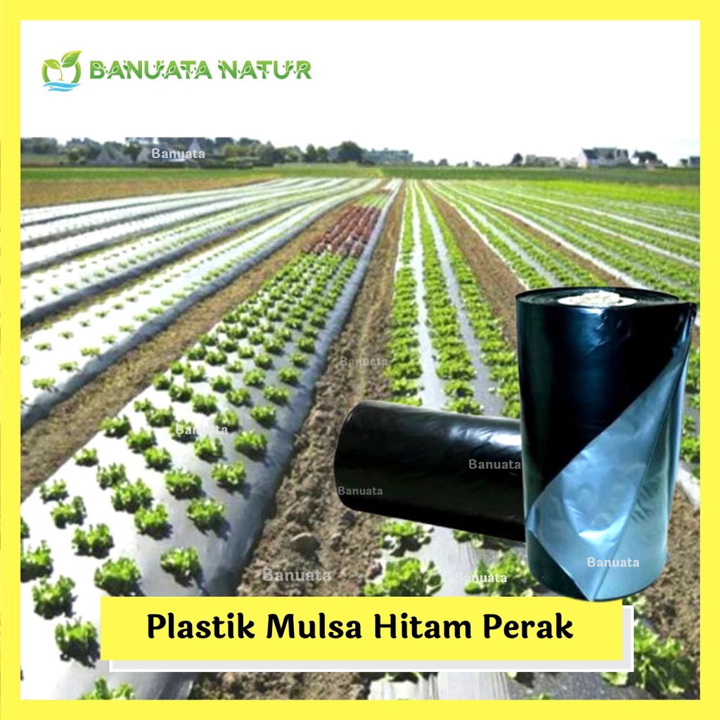 Jual Plastik Mulsa Pertanian Hitam Perak Tebal Micron Bahan Tebal Warna Perak Berkualitas