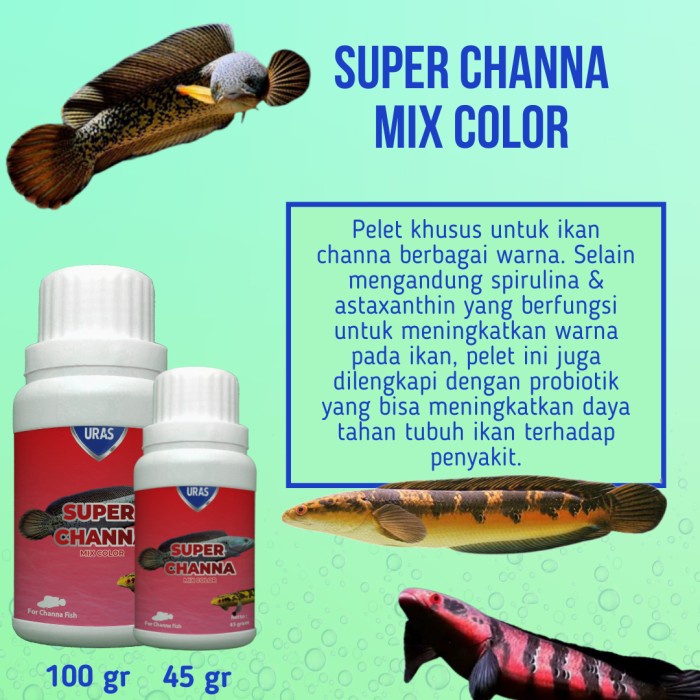 URAS - Pelet Super Channa / Pelet Formula Spesial Untuk Warna