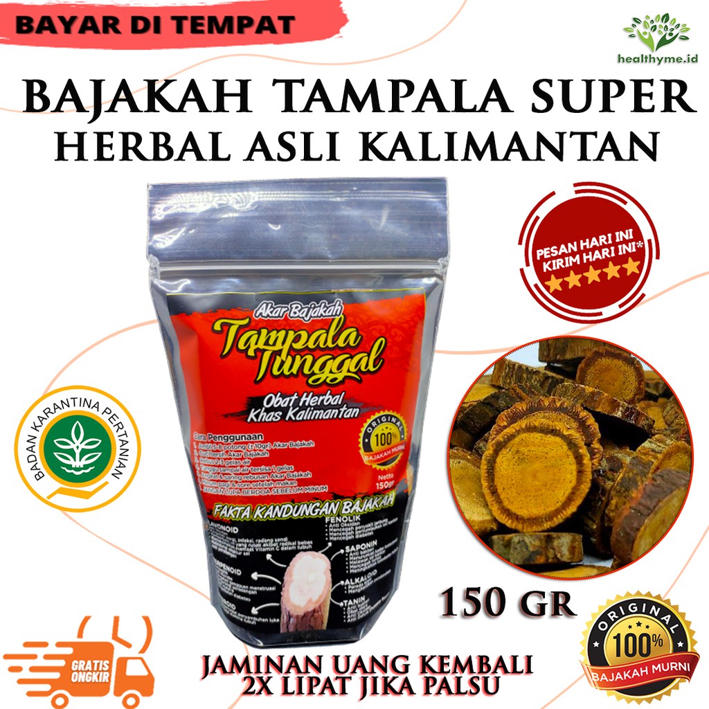 

Bajakah Tampala / Kayu Akar Bajakah Tunggal Asli Kalimantan - 150 GRAM