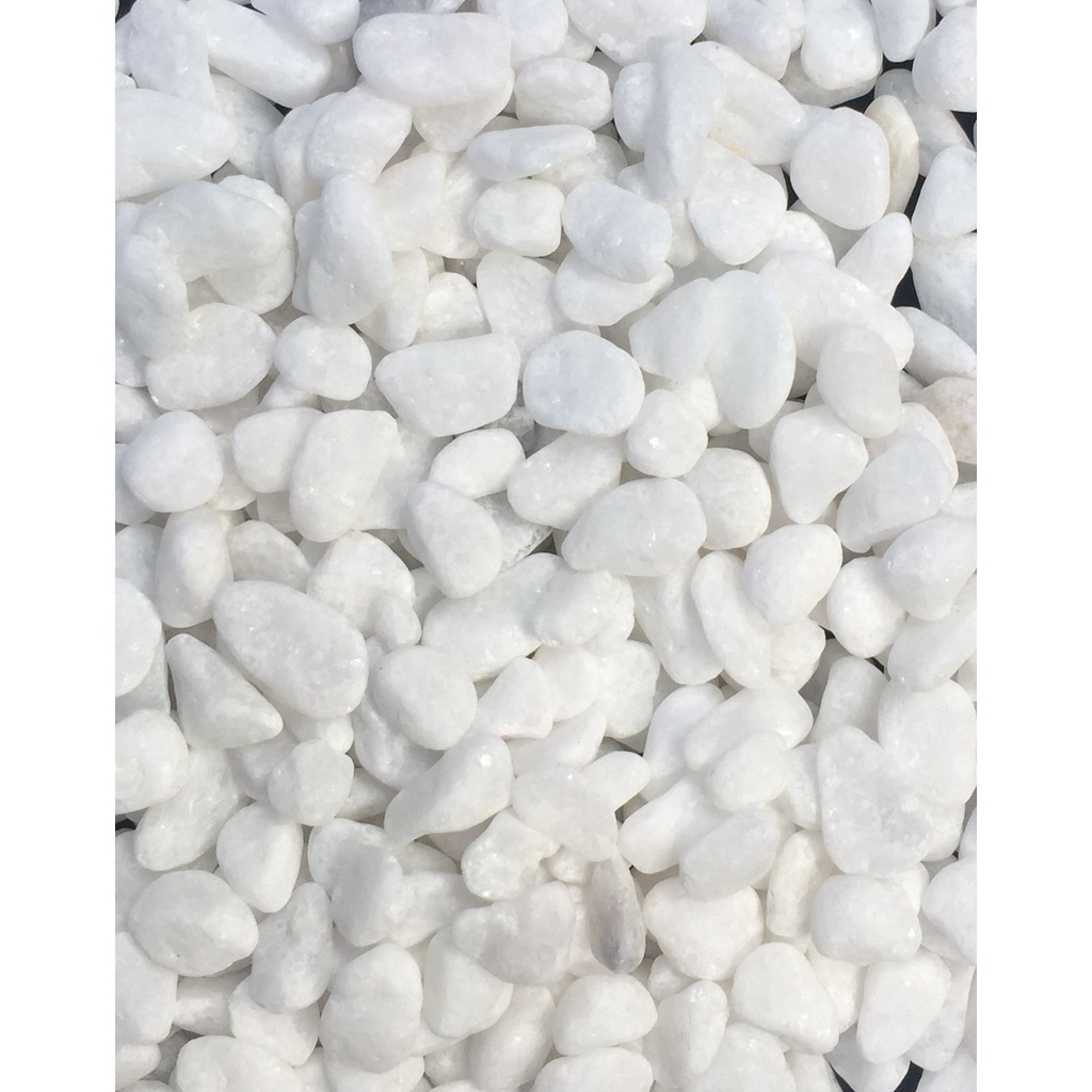 Batu Koral Putih Italy Import