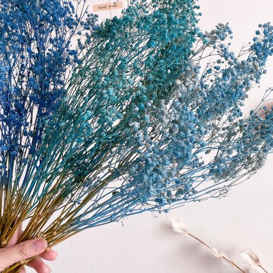 Dried Babybreath in Blue Series/ Bunga babybreath kering biru - Midnight Blue