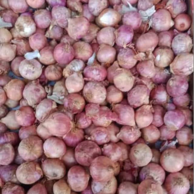 

Bawang Merah Sedang (Bawang Impor) 1kg (1000gram)