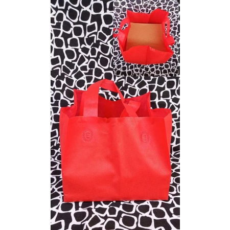 

tas spunbond 22x25 cm