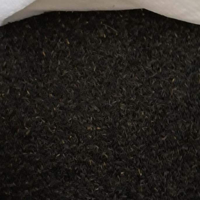 

[BISA COD] Niger seed - biji niger