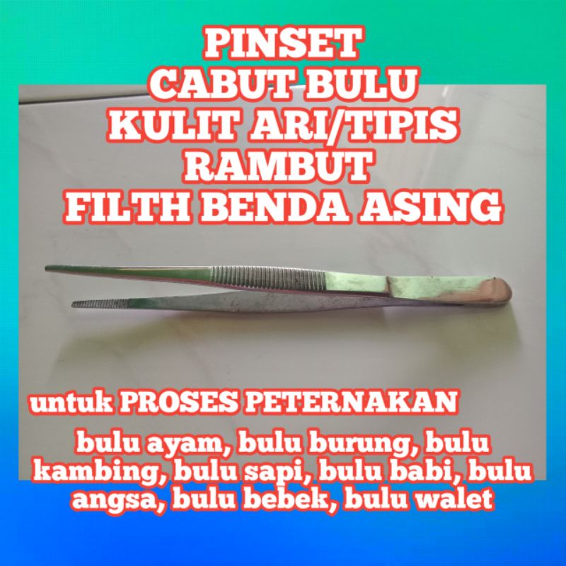 PINSET BULU WALET, PINSET SARANG BURUNG WALET, PINSET BULU KULIT BABI | singkawang, denpasar, kupang