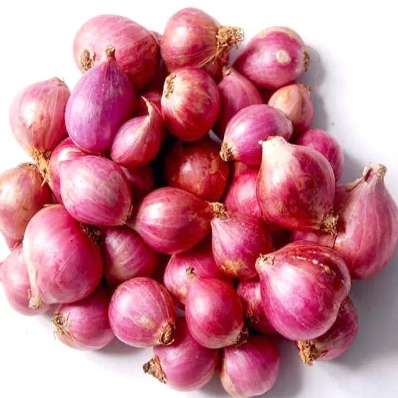 

Bawang Brambang Merah Brebes 500 gram 1Kg 1 Kilogram Super Gede Besar Sedang 500 gr Termurah