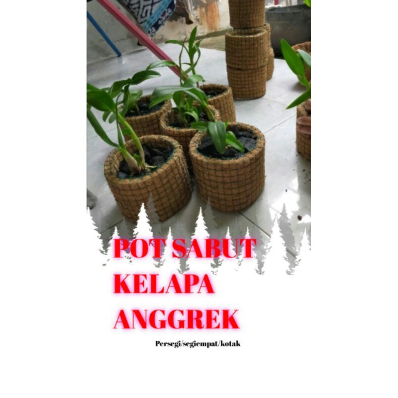 POT ANGGREK SABUT KELAPA/POT BULAT/POT SERABUT BULAT ANGGREK