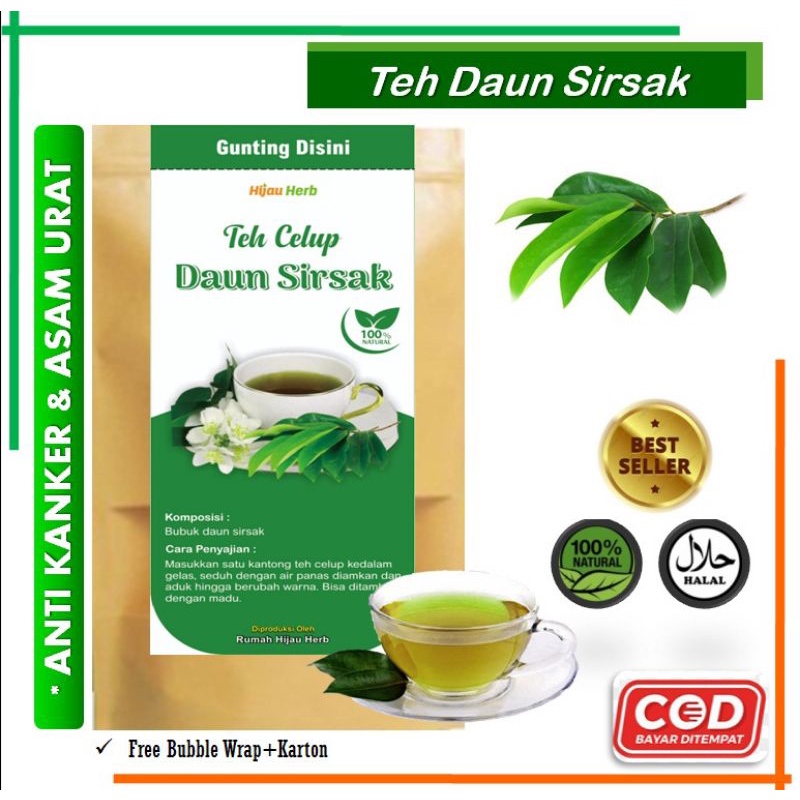 

Teh Daun Sirsak Anti kanker alami