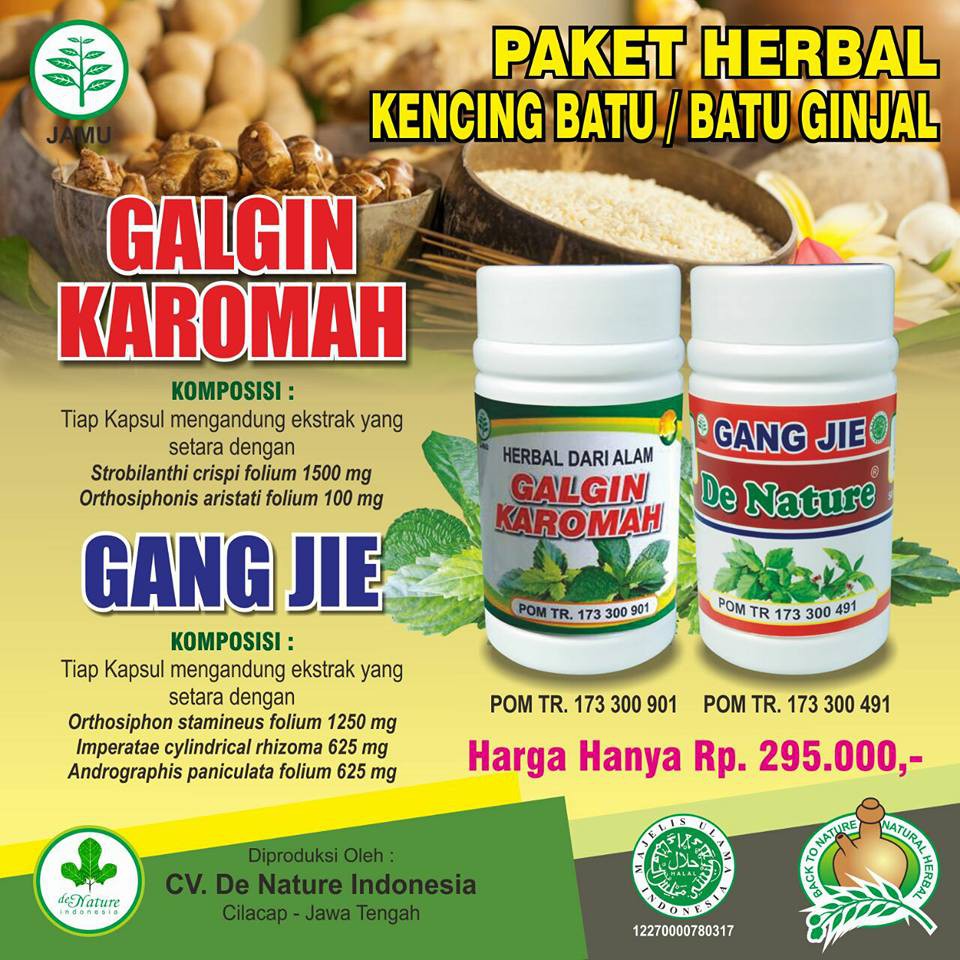 Tanpa Cuci Ginjal Alami Darah Obat