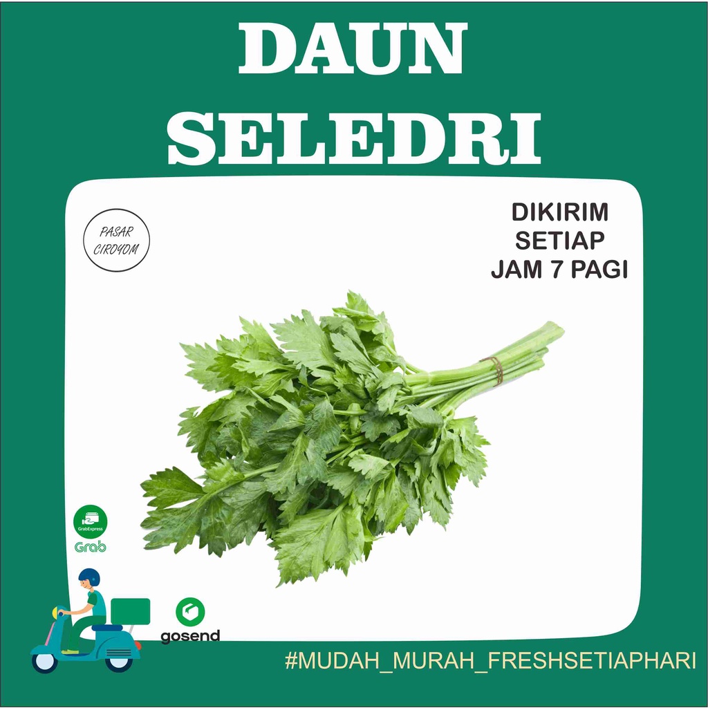 

PROMO DAUN SELEDRI FRESH MURAH BANDUNG