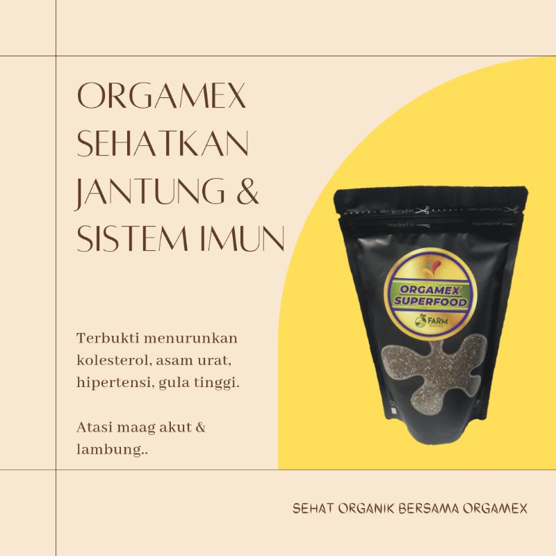 Orgamex Superfood Untuk Maag / Lambung / Gerd