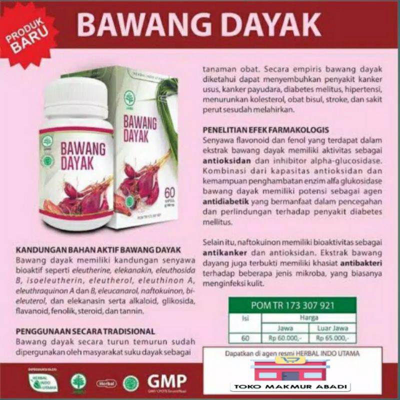 Kapsul Ekstrak Bawang Dayak 60caps BPOM - Herbal Kholestrol, Kanker - BAWANG DAYAK ORIGINAL