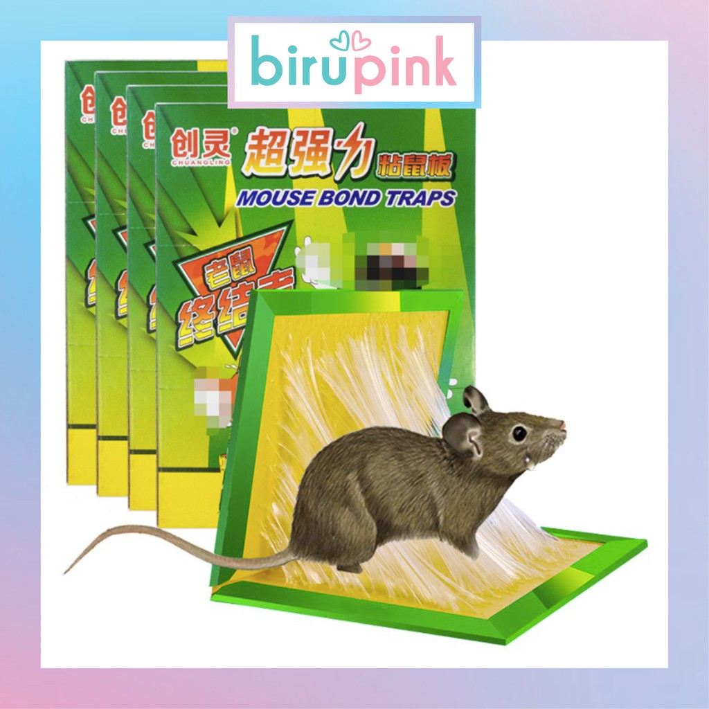 birupink lem tikus perangkap jebakan tikus papan harmless buku perangkap hama tikus jumbo mouse glue